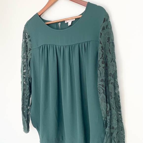 DB Top - Picture 2 of 5